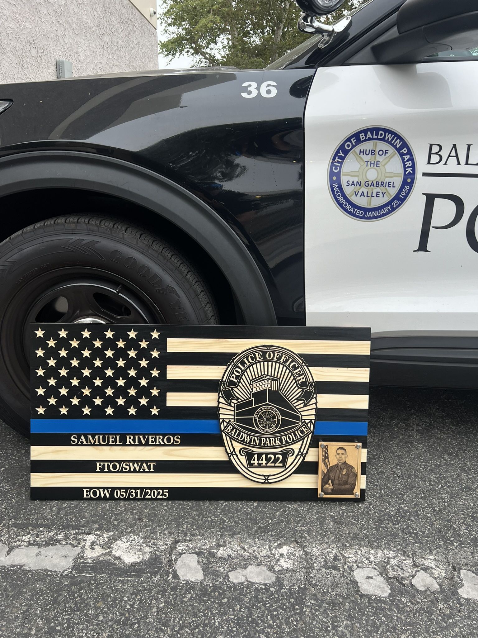 Custom Wood Flag
