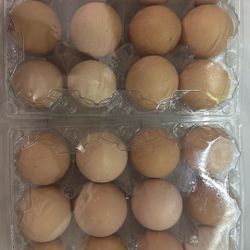 Fresh Chicken Eggs 