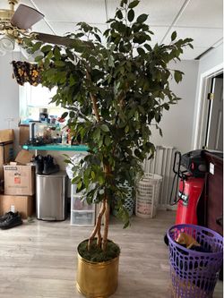 7 Ft. Artificial Ficus Tree