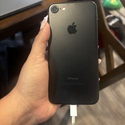 Iphone 7 Used