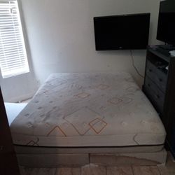 Tempur-pedic California King Mattress And Box Spings