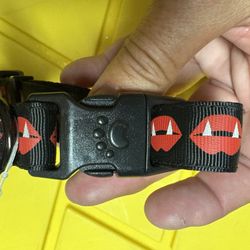 New, Medium Dog Collar