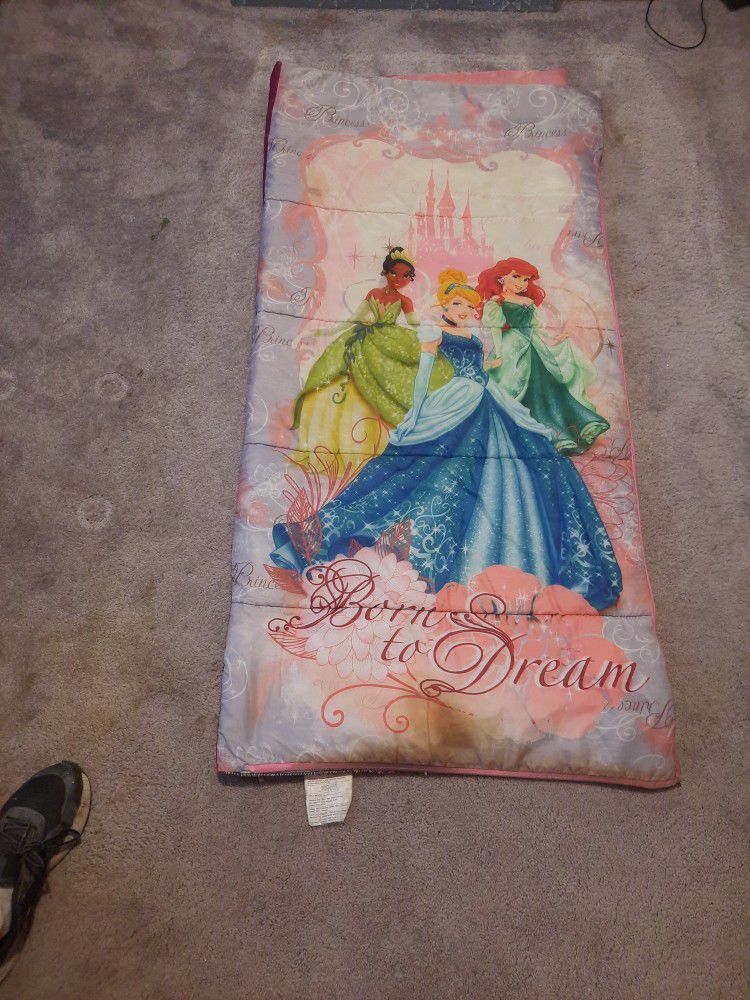  Princess Sleeping bag.   Regular size