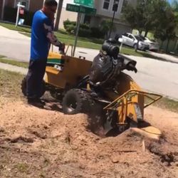 Stump Grinding 