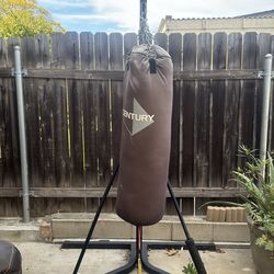 Punching bag with metal stand