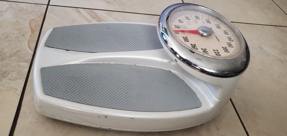 Scale Vascula