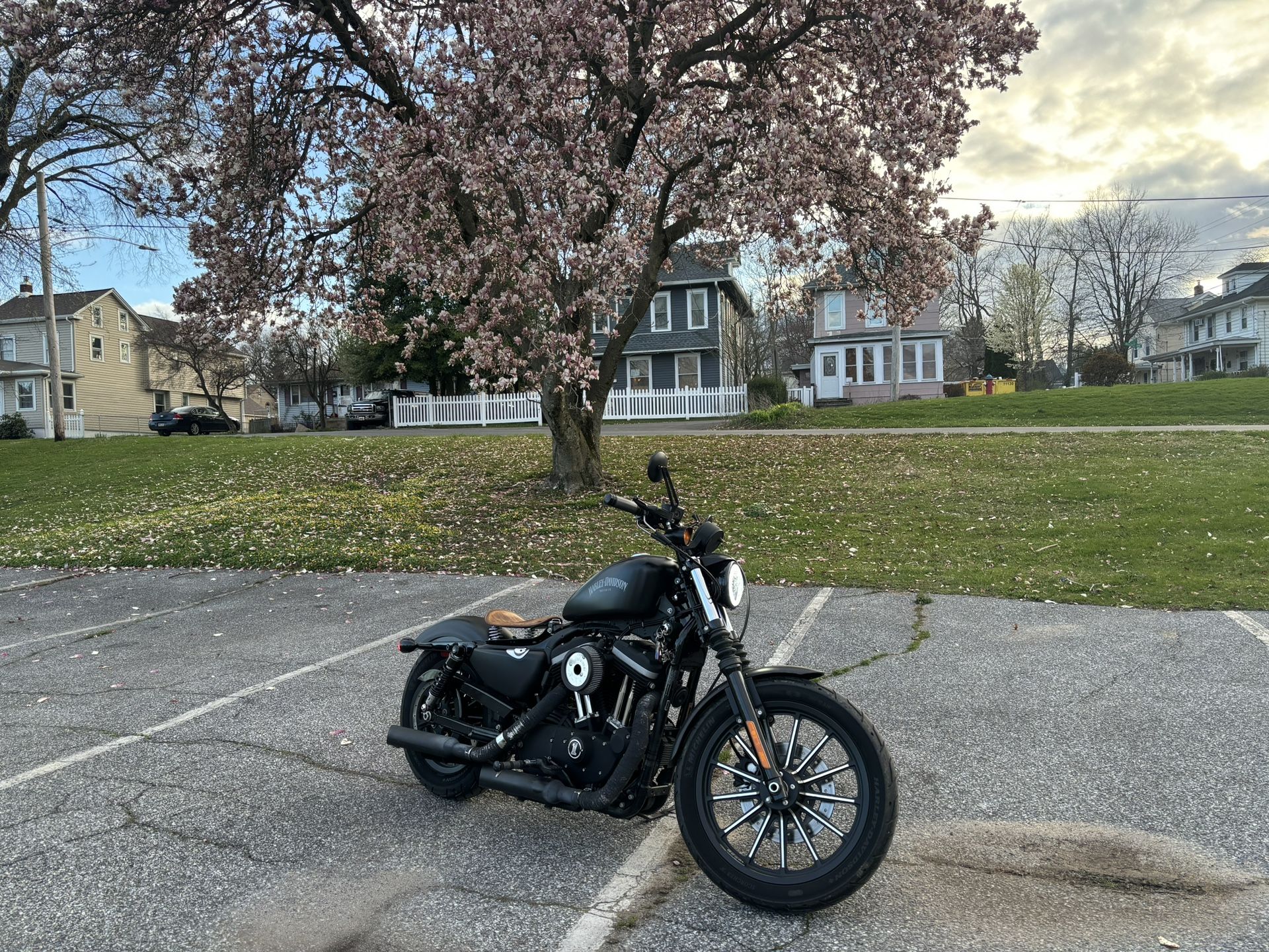 Harley 883 Xl