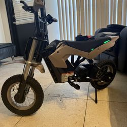 Electric bike 