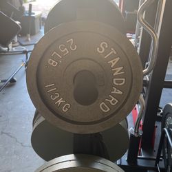 CAP Free Weights