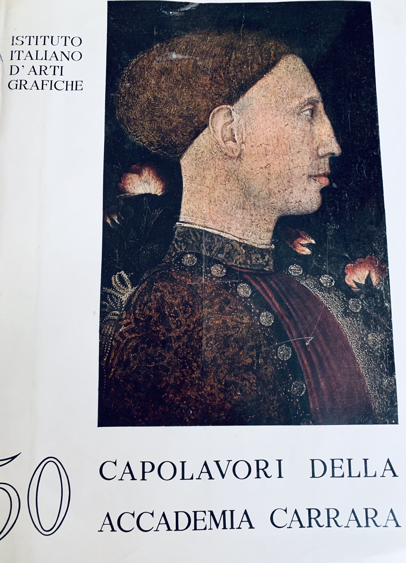 The book is about 50 masterpieces from Accademia Carrara Art Gallery in Italy.