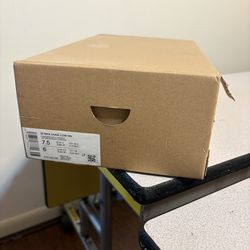 Women’s Nike Dunks