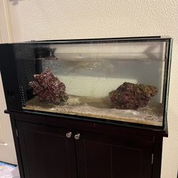 20 Gallon IM Peninsula Tank 