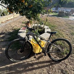 XCALIBER 8 BIKE