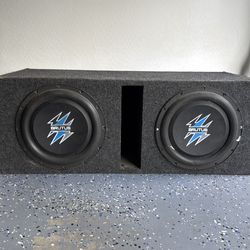 12” Brutus Subwoofer with Ported Box