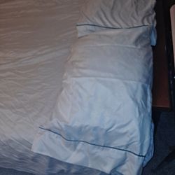 Queen TGF TheGreatEnd 8 pc bed Sheets  set-$65