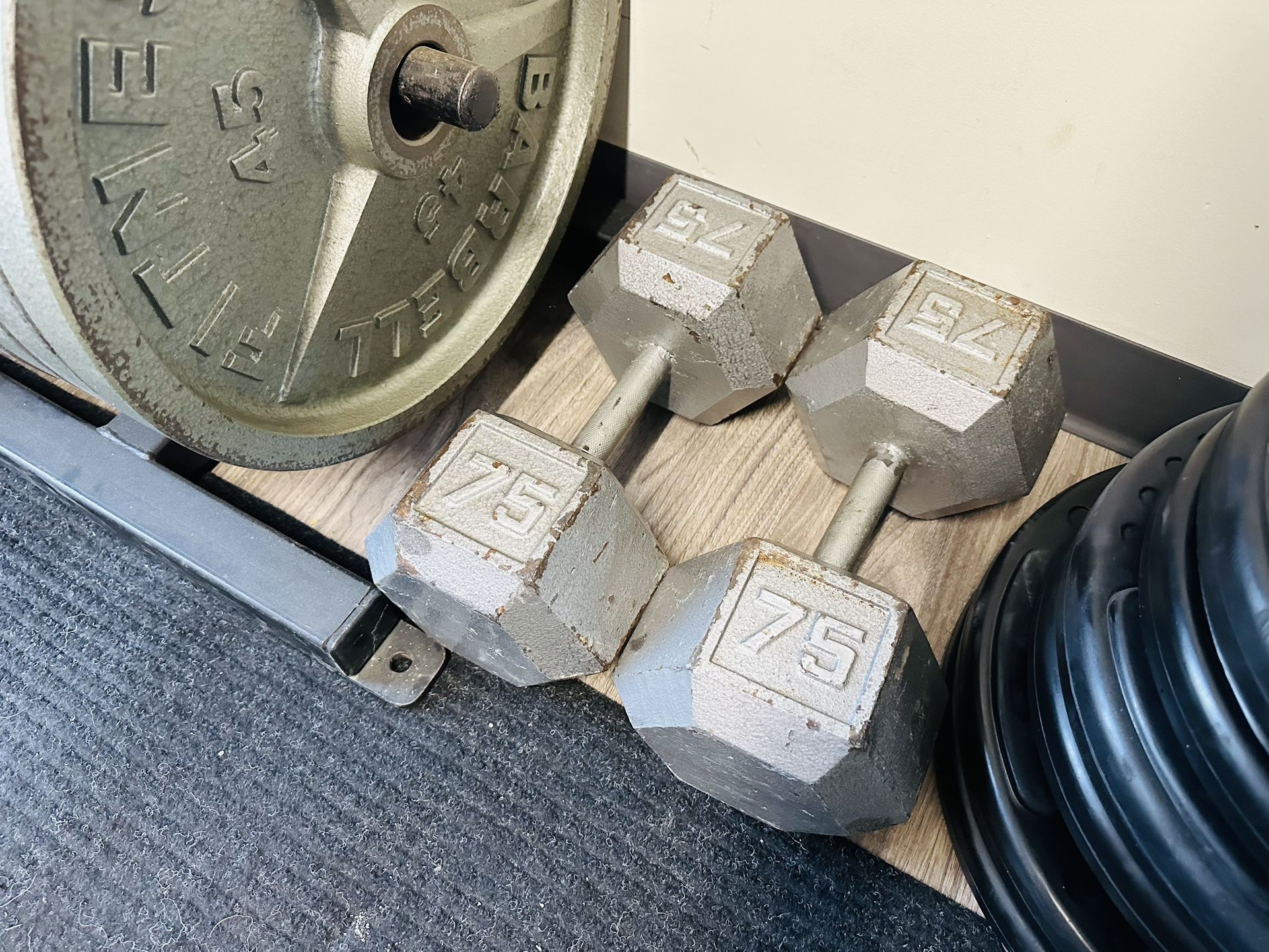 75lbs Hex Dumbbells - Workout - Gym Equipment