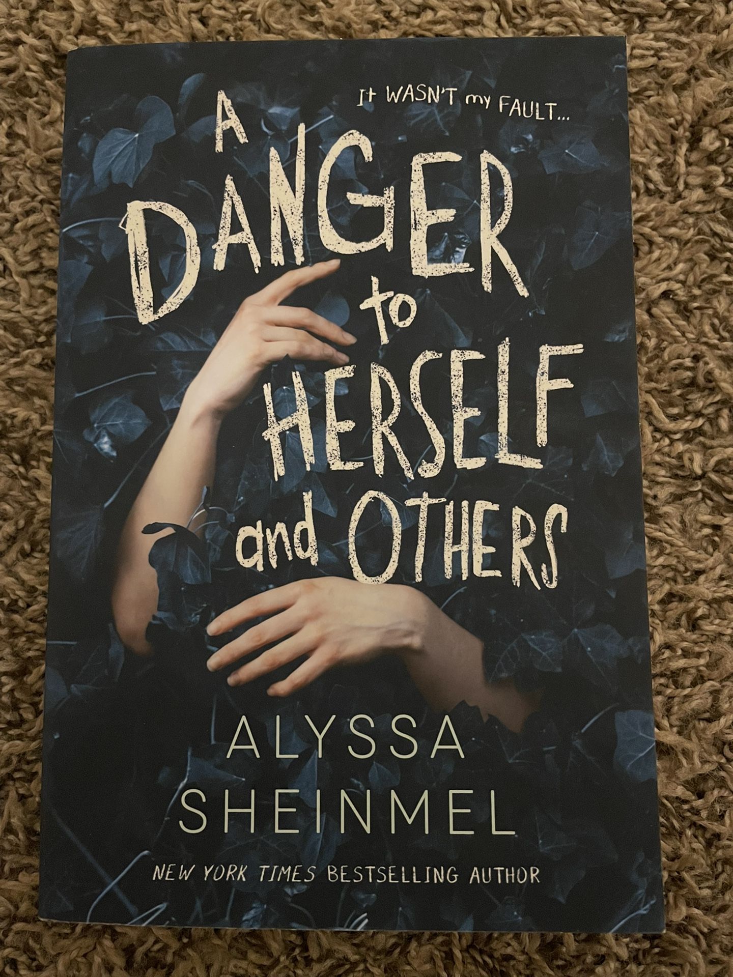 “A Danger To Herself And Others” By Alyssa Sheinmel 