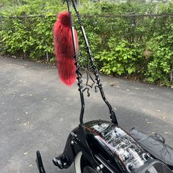 Harley Davidson Softail Heritage Or Deluxe Custom Sissybar