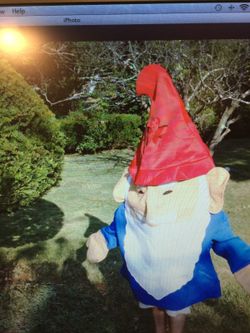 Giant gnome costume