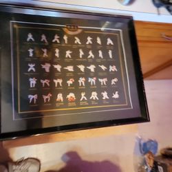 Tae kwong Do Badge Set. In Frame. Pick Up Only