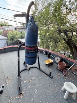 Heavy bag w/ stand— FREE