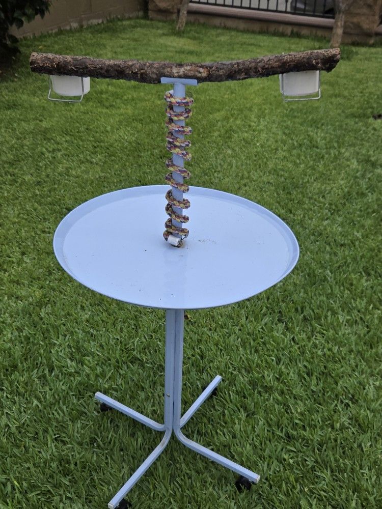 Bird Stand