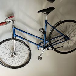 Raleigh Single-Speed Bike OBO