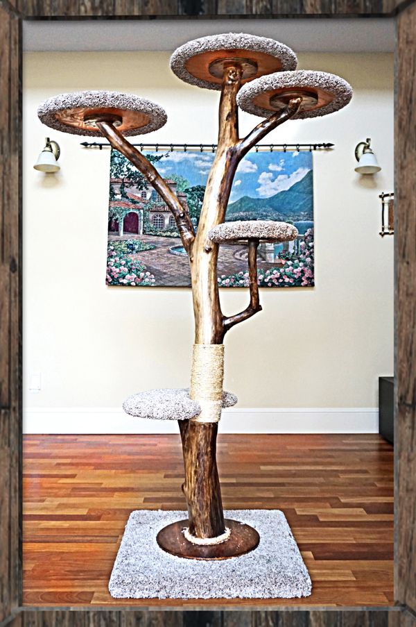 Natural cat tree for Sale in Vancouver, WA OfferUp