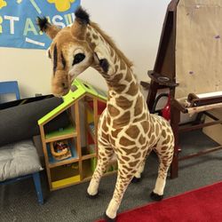 Giraffe