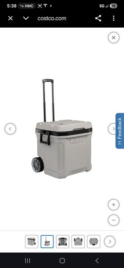Igloo 62 - QT Maxcold Wheeled  Cooler