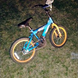 Boys 16" Bicycle 