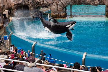 seaworld