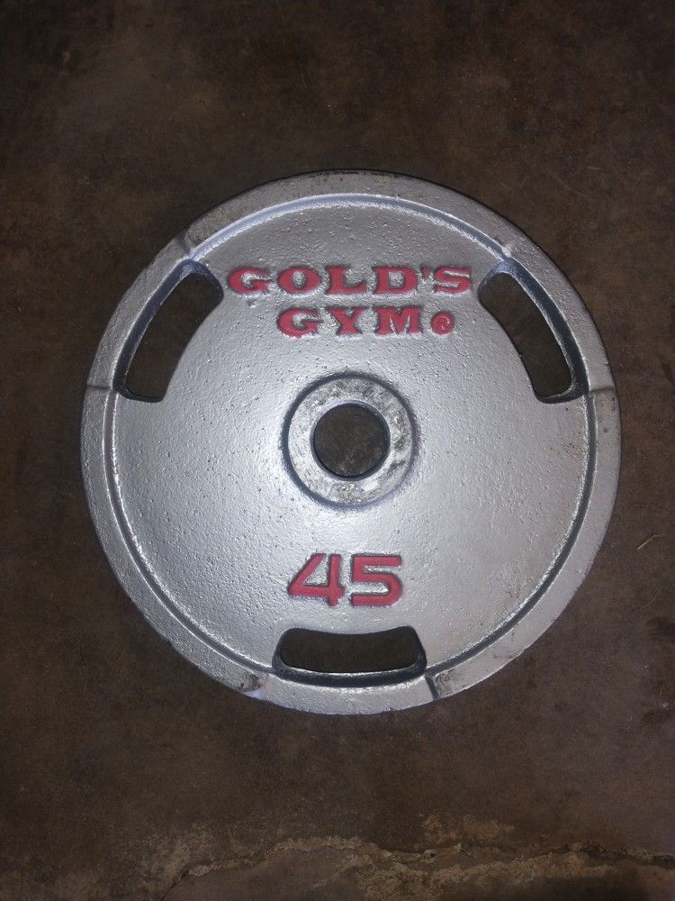 45lb Single Weight Plate/ Gym Equipment/ Weights