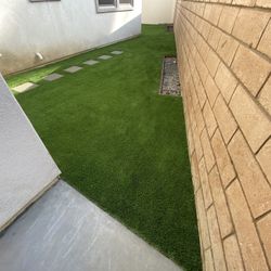 Turf