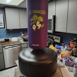 Kids Punching Bag