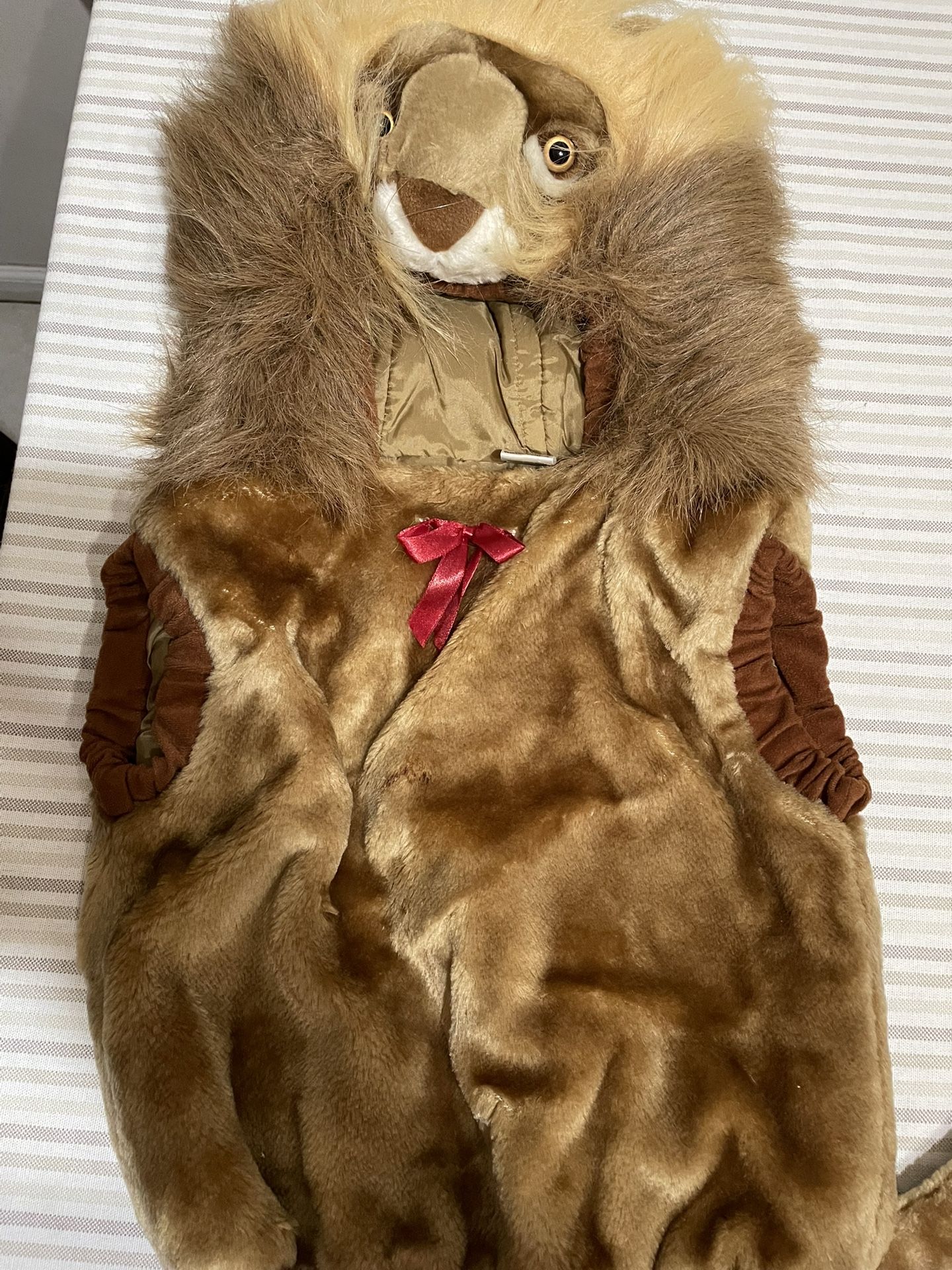 Lion Costume