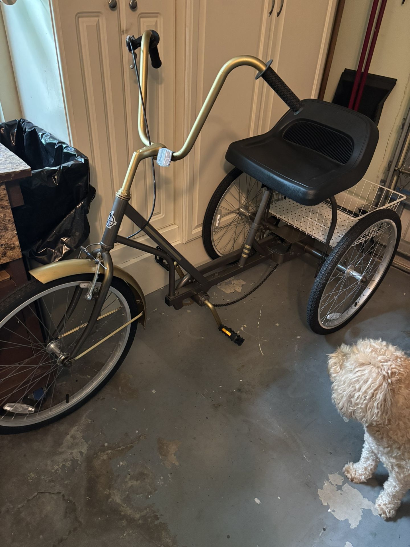 Three Wheel Trike