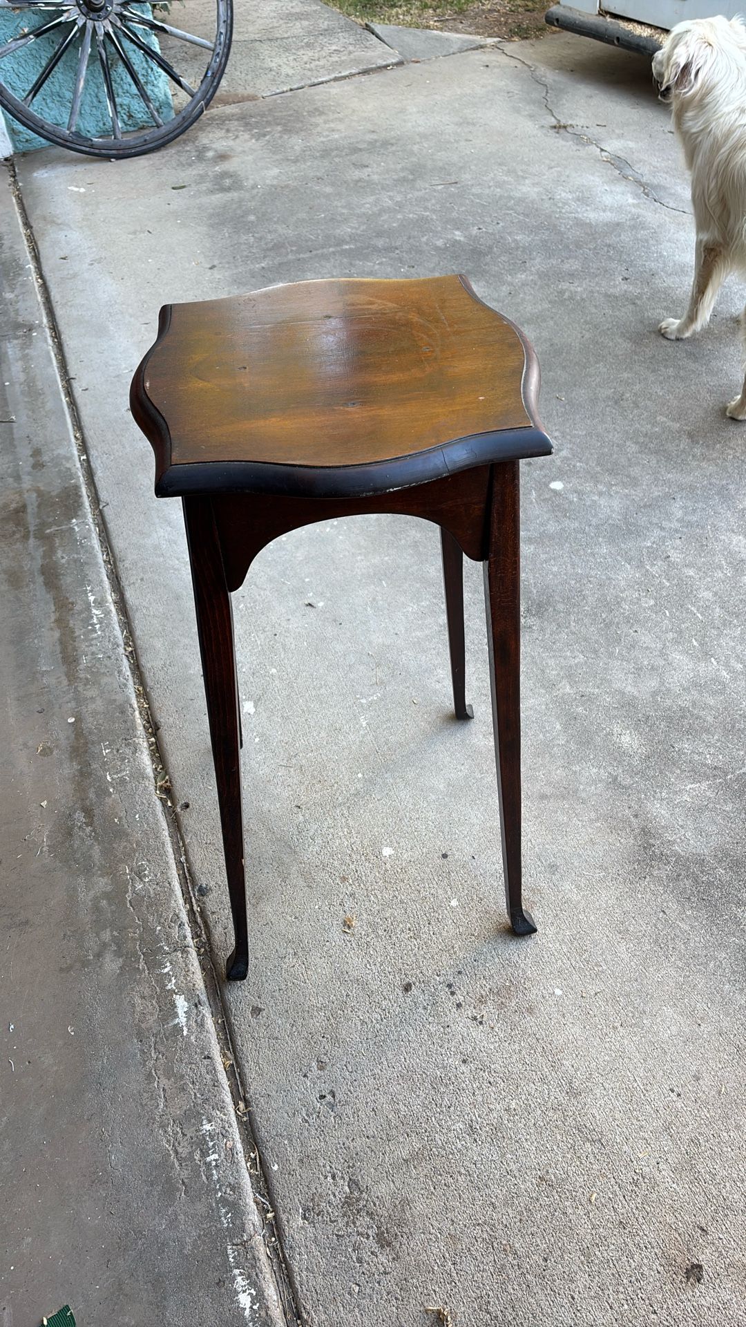 Beautiful Plant Stand … 30 Inches Tall