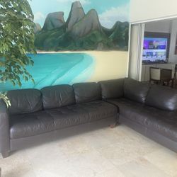 Leather Couch