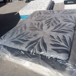 New Sealy Queen Posturepedic Mattress And Box Spring 