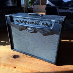 Peavy Vyper 100W 2x12 Guitar Modeling Amp Tested Working 
