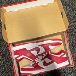 Slightly Worn Red Dunks