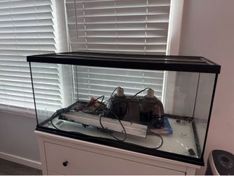 Reptile tank