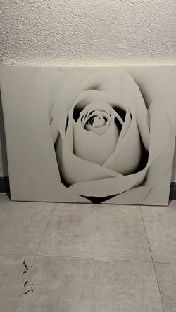 Timeless Rose Black & White Canvas Print