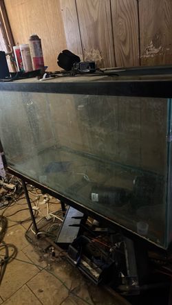 Multiple 55 Inch Tank For Sale