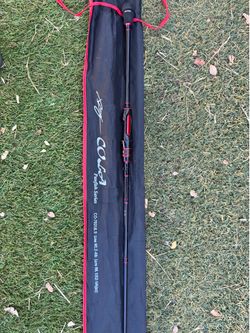 Ultralight fishing jigging rod