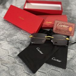 Cartier Glasses