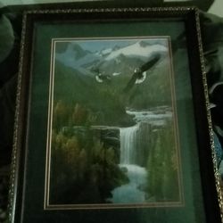 Eagle Picture.$10