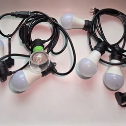 Grow Lights for Plants