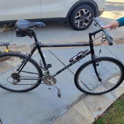 Gary Fisher Mountain Bike